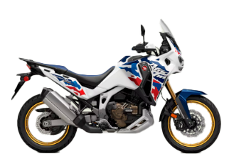Model Image